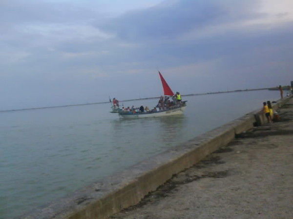 Наталья Толоцкая