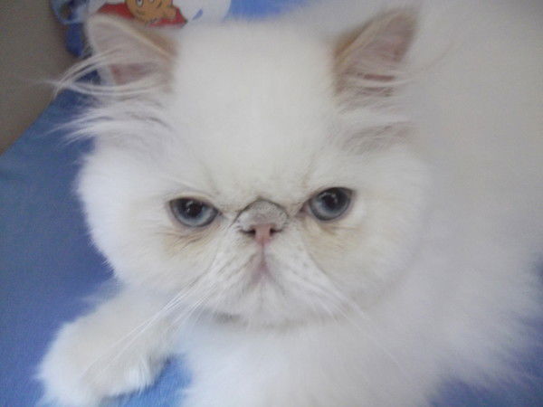 Сергей Сергей