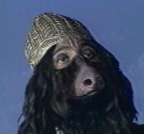 Александр Колесник