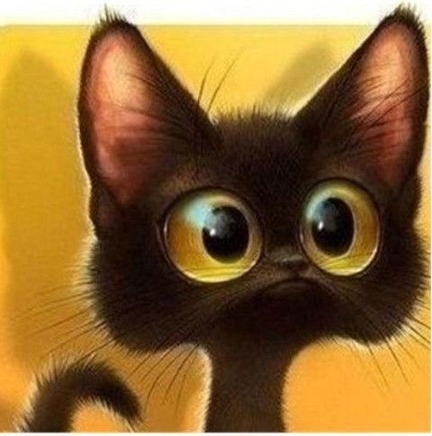 Елена Кондрашова