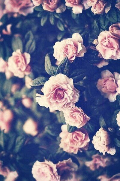 Зайка Pozzzitivnaya)))