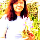 Елена Дудина