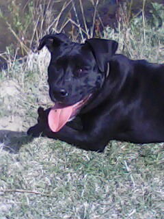 Олесенька Францева