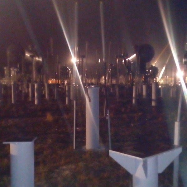 Артём Мухин