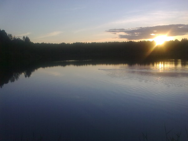 Александр Пузевич