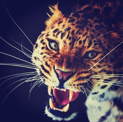 Инна Чичерова