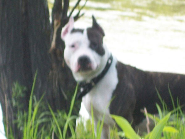 Валерия Колесникова