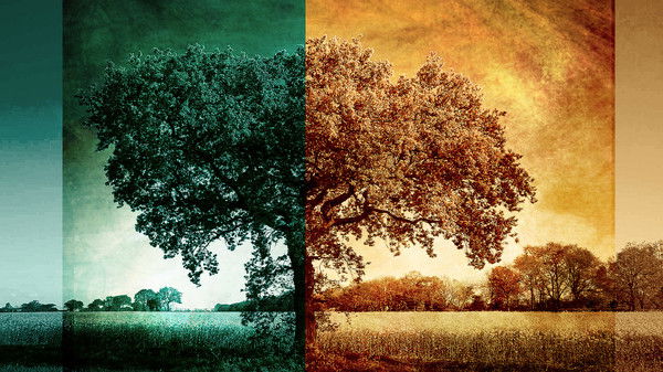 Виктория Ташаева