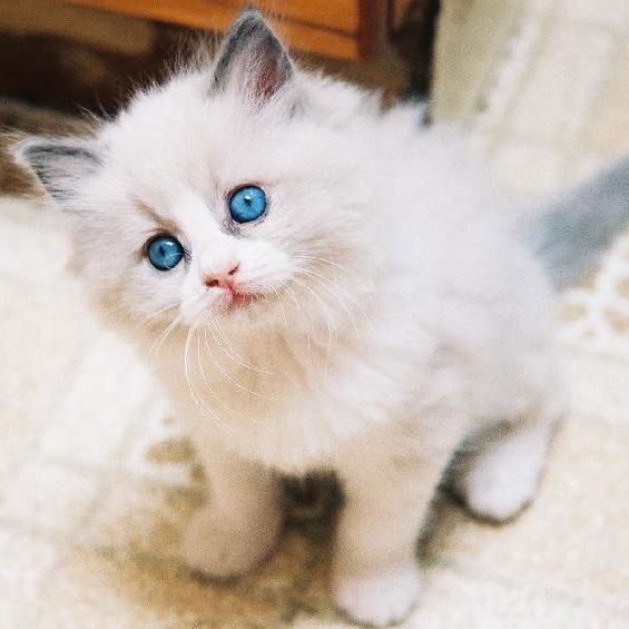 Татьяна Межевикина