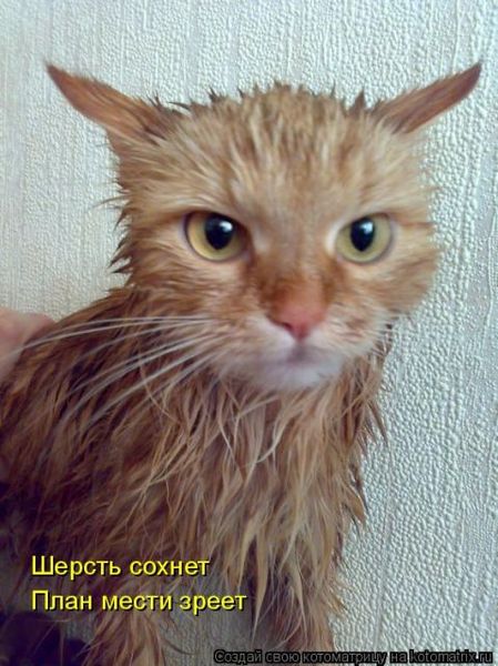 Наталья Заворотная