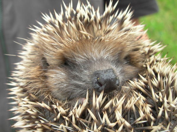 Ольга Крючкова