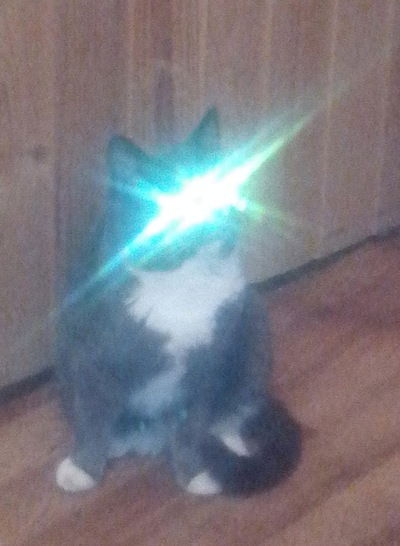 Сергей Сергеев