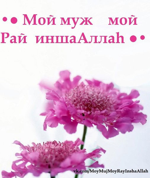 Замужем♥°•● Не Беспокоить♥°•●