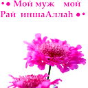 Замужем♥°•● Не Беспокоить♥°•●