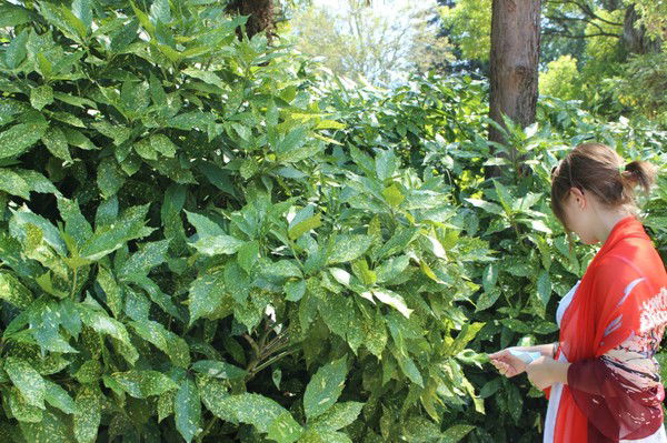 Аня Мусатова