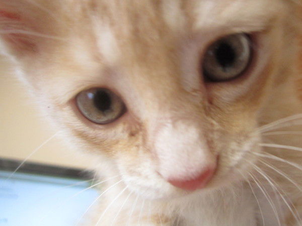 Жания:))) Алимкулова