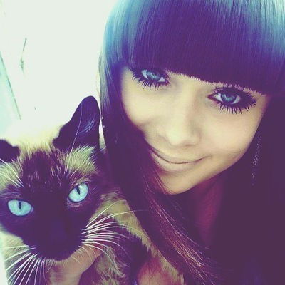 Сэрсэя Про-Класс