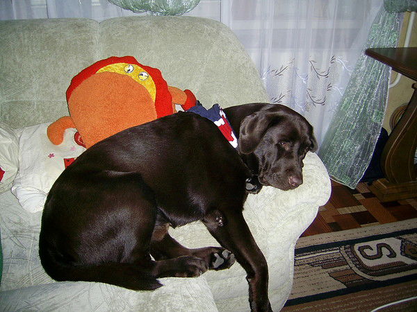 Алексей Манойлов