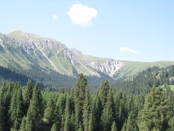 Николай Кайдалов