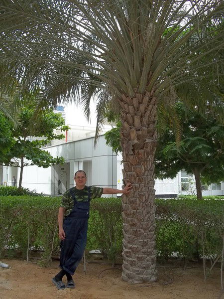 Артур Нафеев