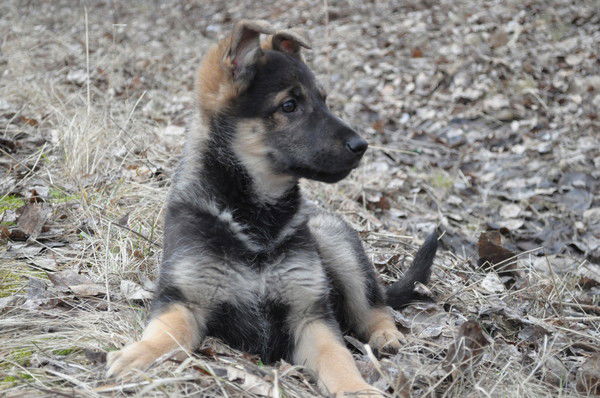 Наталия Вершинина