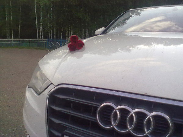 Радмир Шайхутдинов