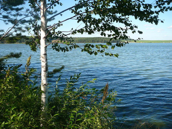 Николай Дерман