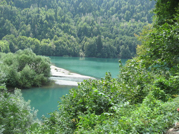 Николай Черномор