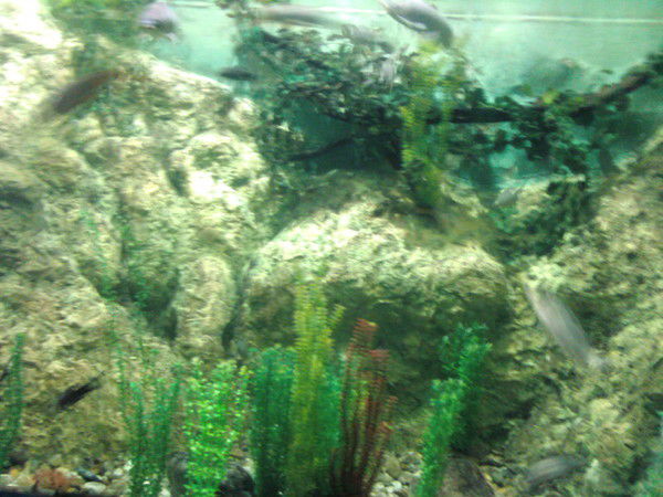 Такеров Ахмет