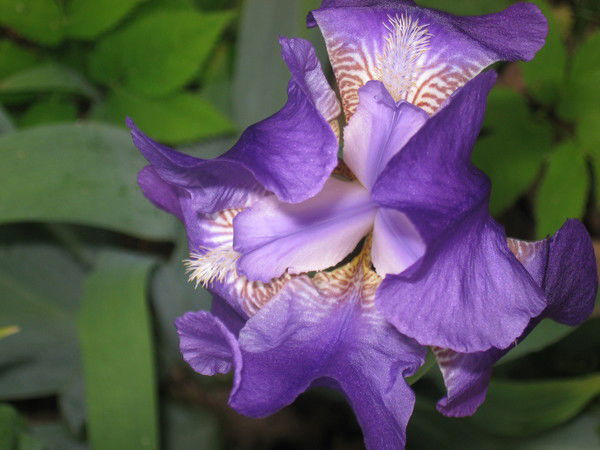 Екатерина Евдокимова