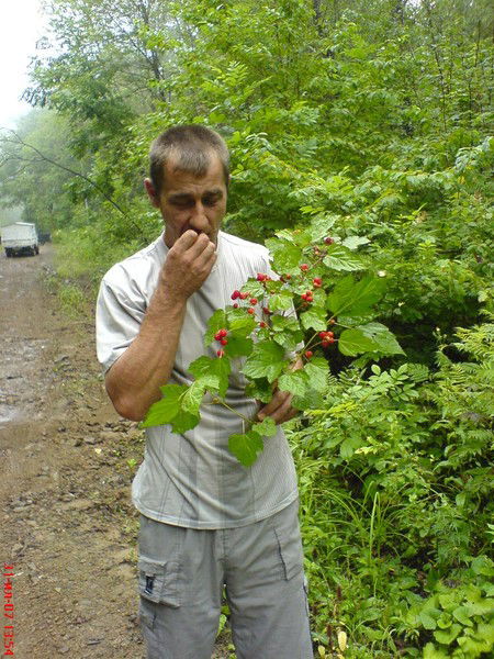 Игорь Гаврилов