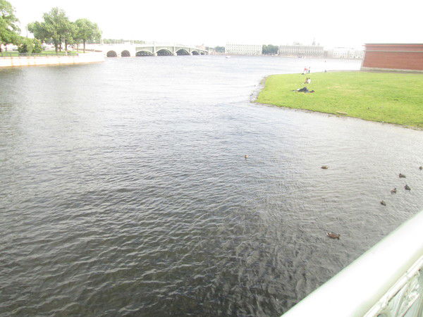 Оля Авсюкевич