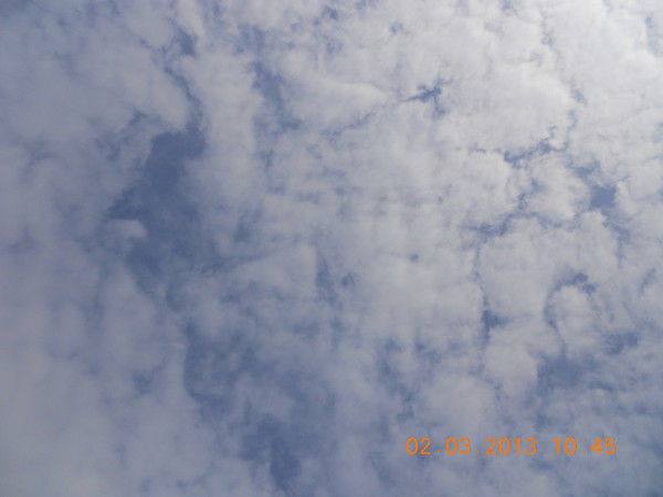 Андрей Кобзарь