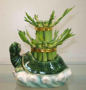 Сиб-Дент Стоматология