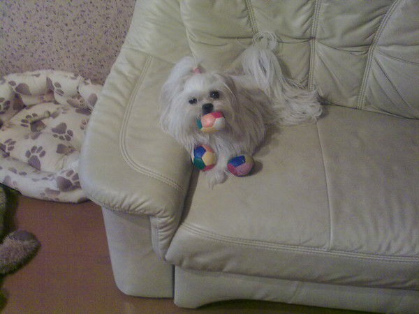 Лариса Осипова