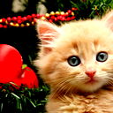 Nika ****