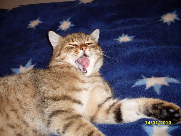 Аня Осадчук