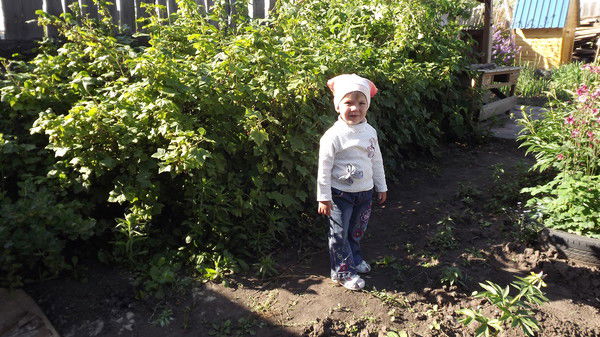 Пётр Николашин