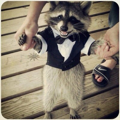 Влад Бердник