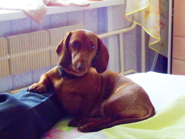 Cергей Петров