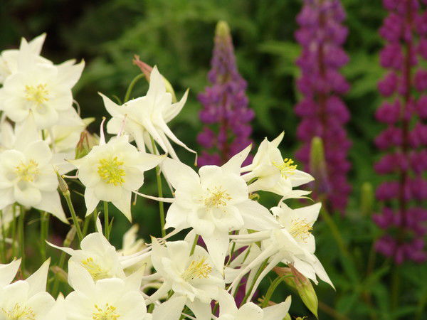 Валентина Корякина