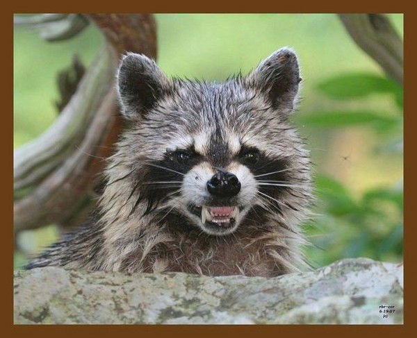 Сергей Карпов