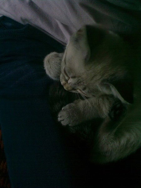 Алуа Жунусбекова