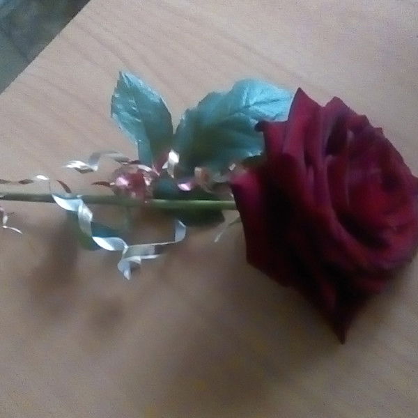 Татьяна Большакова