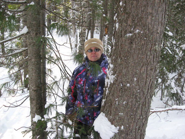 Екатерина Месилина