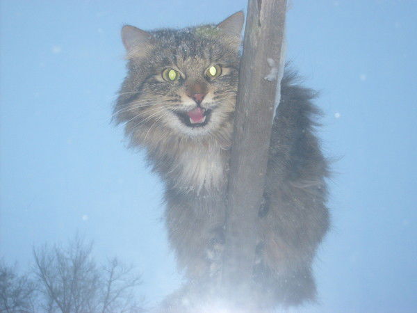 Василий Овчинников