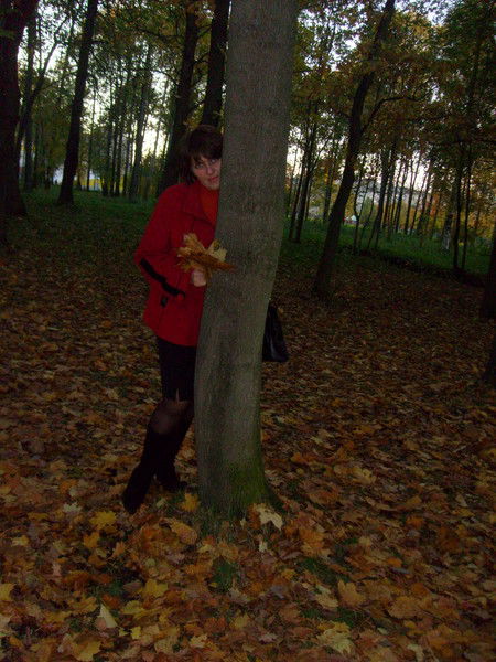 Елена Степанова