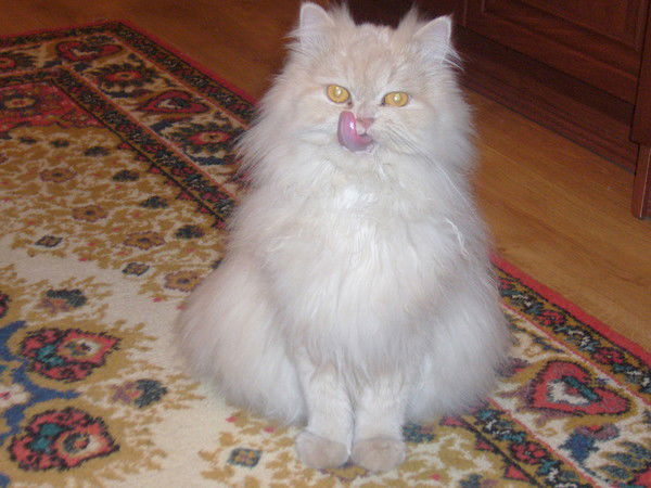 Оксана Ющенко