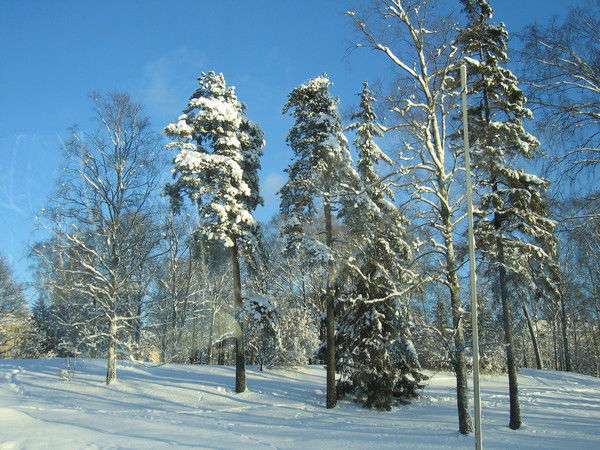 Виктор Зайцев