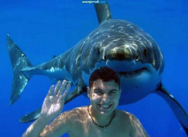 Виталий Козарев